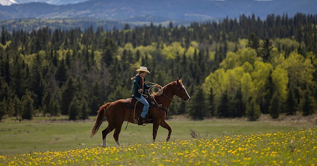 Amy Fleming (Amber Marshall) in a cream cowboy hat riding a chestnut horse with a lasso through a field of yellow wildflowers, with forested hills and snowy mountains behind her in Heartland