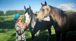 Heartland Season 20: Release Date, Cast, and Everything We Know So Far 