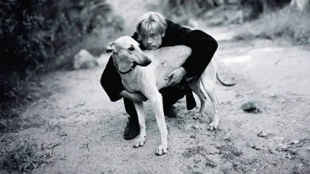 Brad Pitt dog rescue argentina filming