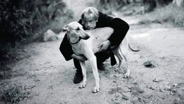 Brad Pitt’s Big Heart: Rescuing More Than Just a Movie in Argentina