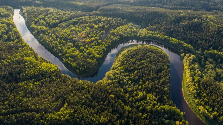 Amazon Deforestation Sees Positive Shift, But Global Forest Loss Persists