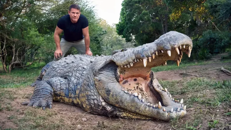 Meet Henry: The World’s Oldest Crocodile in Captivity