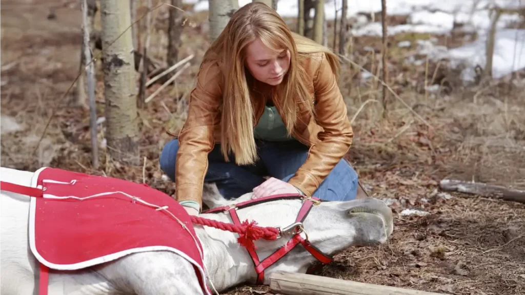 Meet Amber Marshall's Real-Life Horse Family