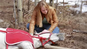 Meet Amber Marshall's Real-Life Horse Family