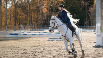 The horses of Heartland aren’t just part of the set—they’re part of the family.