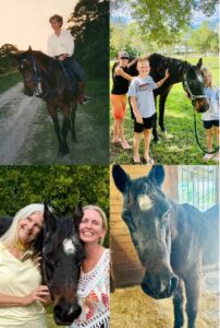 The World’s Oldest Horse, Once Burt Reynolds’ Personal Mount, Passes Away at 40