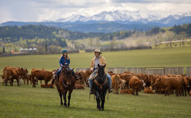 Heartland is filmed in the scenic Foothills of southern Alberta.