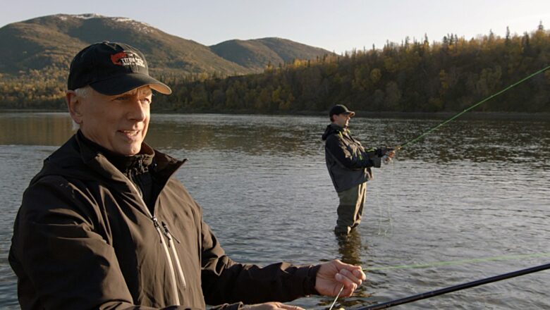 Mark Harmon Was Gibbs in 418 NCIS Episodes, and He’s Not Done Yet