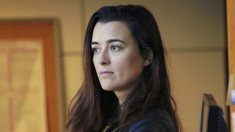 Where Is Ziva on NCIS? Why Tony DiNozzo Returned to D.C. Alone